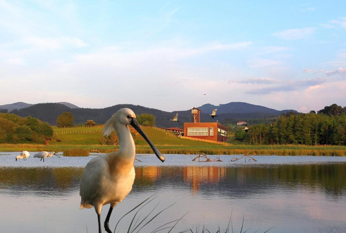 Adosado En La Costa Con Excelentes Vistas Al Estuario De Urdaibai Villa Mundaka Exterior foto